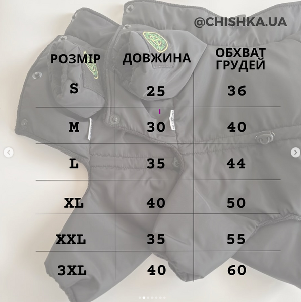 Зимовий комбінезон 10180 фото