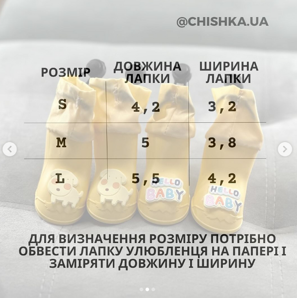 Гумові чоботи 10160 фото