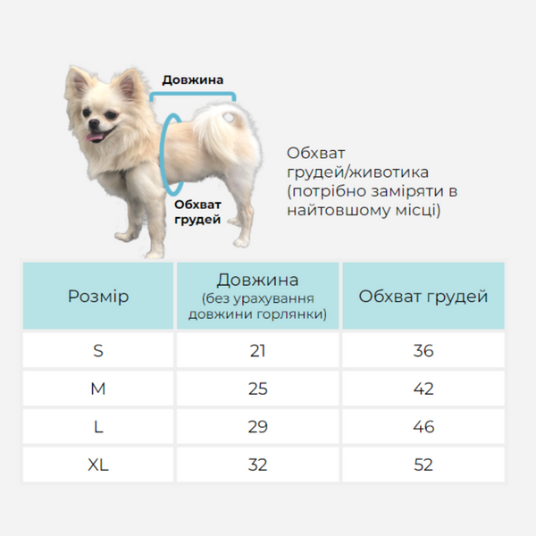 Cтильний світшот 10094 фото