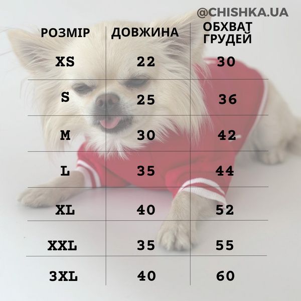 Світшот "дізель" 10158 фото