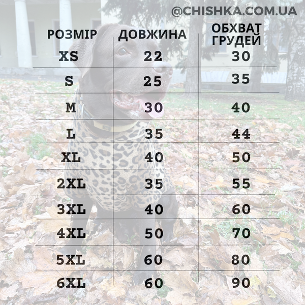 Фліска "лео" 10148 фото