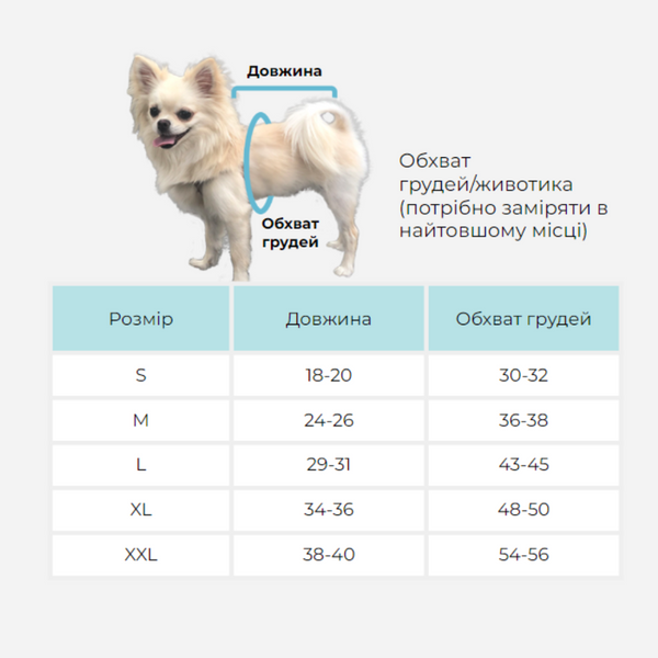 Дощовик 10110 фото