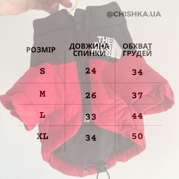 Курточка "The dog face" 10133 фото