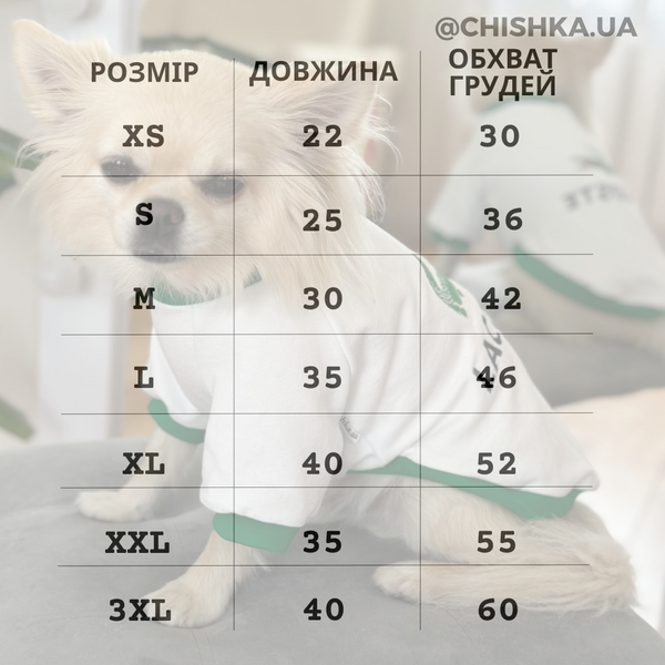 Світшот "лакоста"  10151 фото